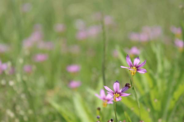 【ありきたりな日常を楽しむためのヒント】新年度、大人だって成長できる[PR]