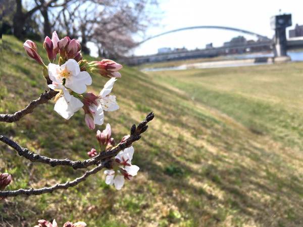 【ありきたりな日常を楽しむためのヒント】新年度、大人だって成長できる[PR]