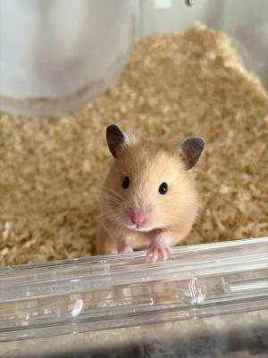 実は色んな用途に使える！bon momentの「救急箱」アンジェスタッフが教える、意外な使い方とは？[PR]