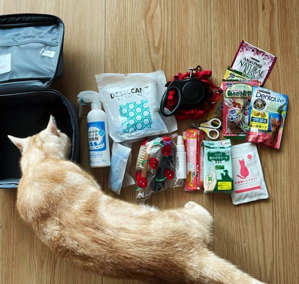 実は色んな用途に使える！bon momentの「救急箱」アンジェスタッフが教える、意外な使い方とは？[PR]