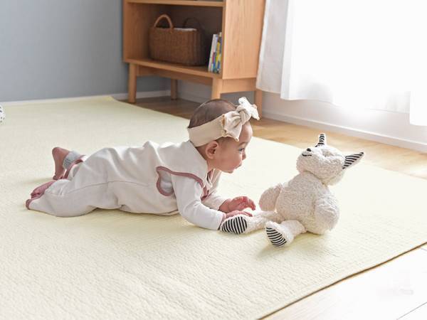 イブルがあれば食べこぼしてもセーフ！ ベビーやペットとの暮らしに役立つ、新作イブル特集