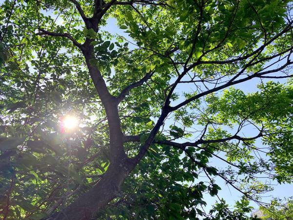 【ありきたりな日常を楽しむためのヒント】どこまで知ってる？夏のエアコン節電術[PR]