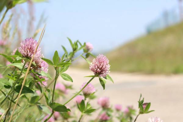 【ありきたりな日常を楽しむためのヒント】自分の時間、使いこなせていますか？[PR]