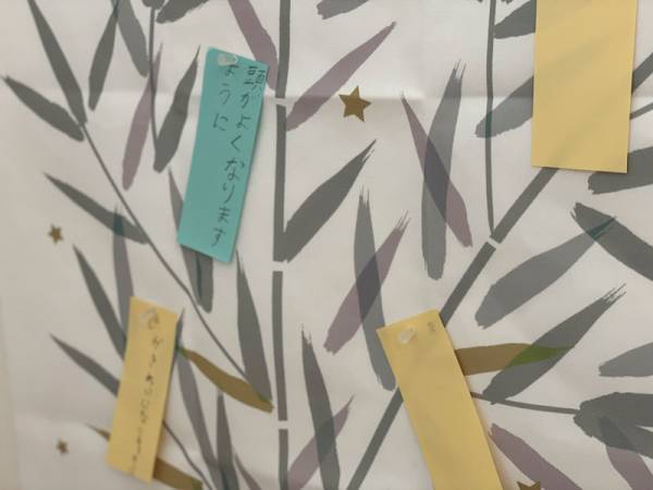 今年の七夕はタペストリーで貼るだけカンタン。季節のイベントをもっと気軽に楽しもう。[PR]