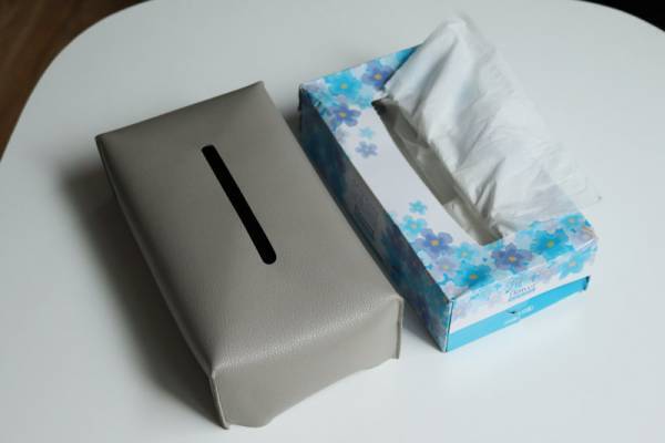 お鼻ぐずぐずさんへ。「吊るせるティッシュケース」でおうちの中のティッシュ置き場を増設！[PR]