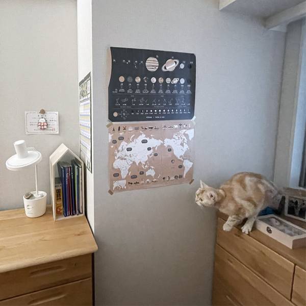 FÖRNE×クッカヤプーがコラボ！知育ポスター「惑星」デザインが登場、スタッフの使い方もご紹介[PR]