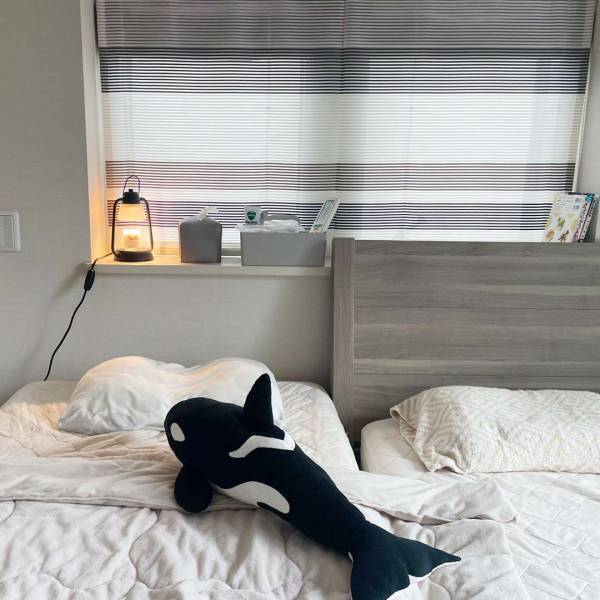 見た目と使いやすさ、どちらも叶う！複数使いでスッキリ片付く「仕切り収納ボックス」スタッフの使い方[PR]