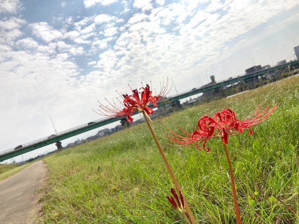 【ありきたりな日常を楽しむためのヒント】まっすぐ届け「励ましの言葉」[PR]