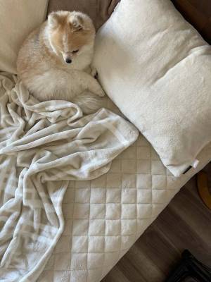 累計50万枚突破「伝説の毛布シリーズ」が今年もやってきた！インスタグラマーさんの素敵な寝室コーディネート集[PR]