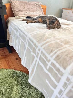 累計50万枚突破「伝説の毛布シリーズ」が今年もやってきた！インスタグラマーさんの素敵な寝室コーディネート集[PR]