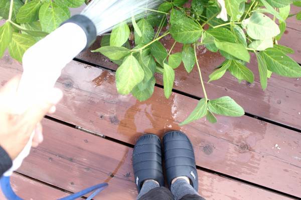 これは、もはや履くダウン。今年からわが家の冬のご近所サンダルはSUBUに決まり！[PR]