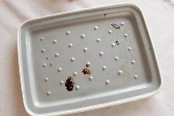 オーブンがなくても「グリラー」があれば!魚焼きグリルでダッチオーブン風メニューに挑戦