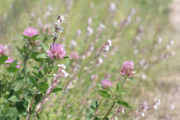 【ありきたりな日常を楽しむためのヒント】深すぎず、浅すぎない、ほどよい関係の作り方[PR]