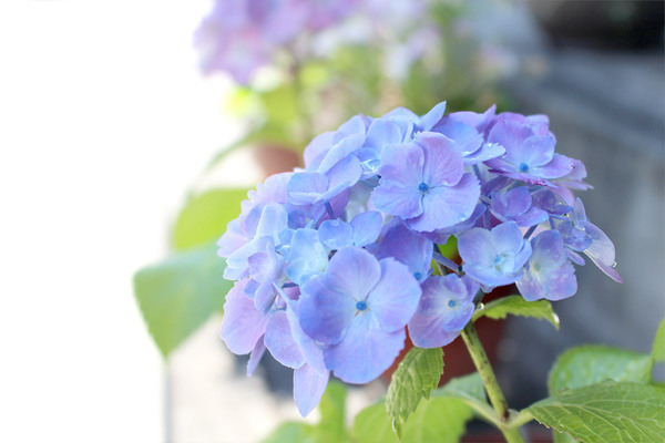 【ありきたりな日常を楽しむためのヒント】笑顔が増える「ごきげん習慣の作り方」[PR]