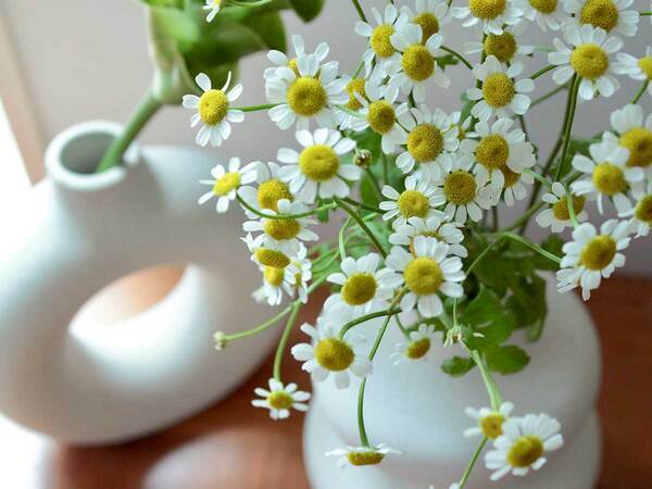 癒されたいなと感じたら、新しいフラワーベースに“自分のための”花を飾ろう。[PR]