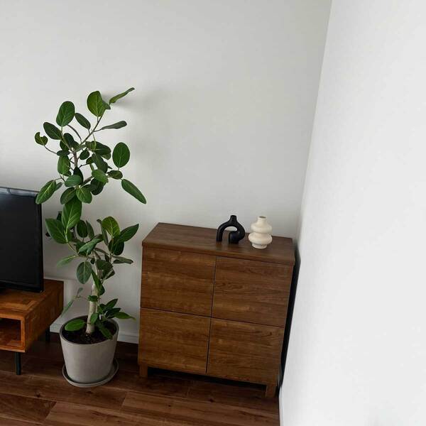 置くだけで部屋があか抜ける まるでアートな「フラワーベース」[PR]