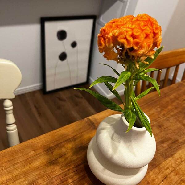 置くだけで部屋があか抜ける まるでアートな「フラワーベース」[PR]