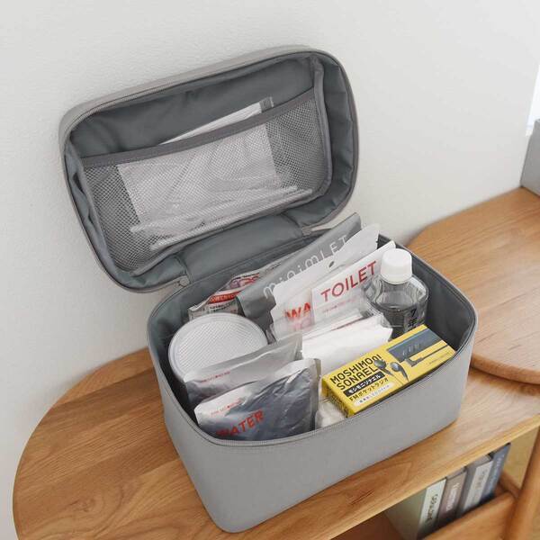 アイロン掛けが好きな家事上位になるかも？！リビングに置ける「アイロン収納ケース」新登場[PR]