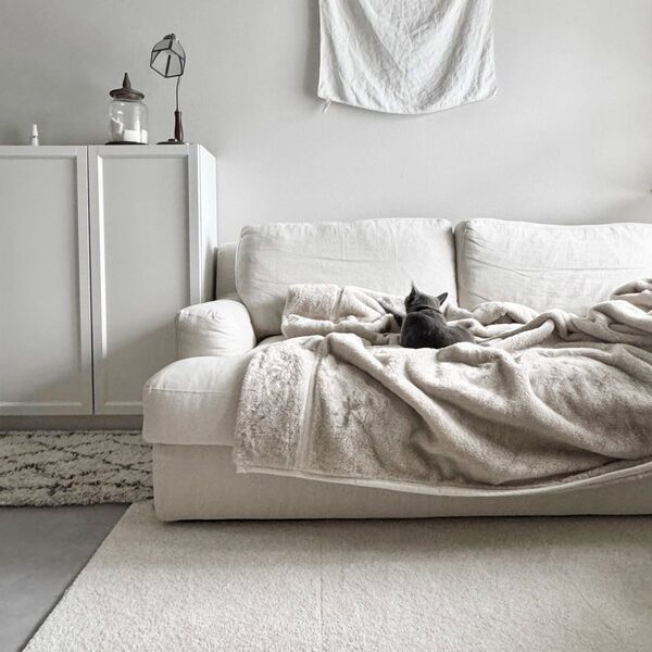 猫好きさんの夢が実現!? 気になる「まるごと猫毛布」の使用レポ