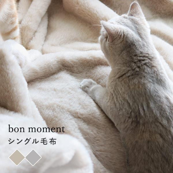 猫好きさんの夢が実現!? 気になる「まるごと猫毛布」の使用レポ