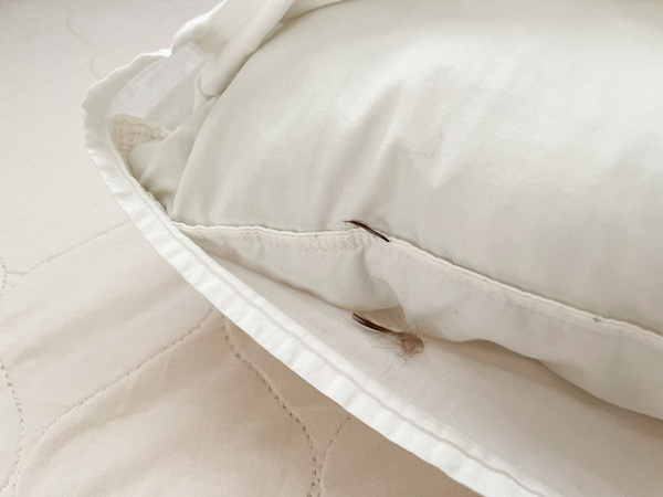 洗えてうれしい、羽毛にも劣らない保温力！TEIJIN開発の マイクロフラッフィー®素材「人工羽毛掛け布団」。[PR]