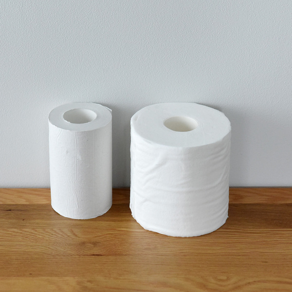 もしもの時のトイレ対策。水と食料と一緒に備えが必須です！