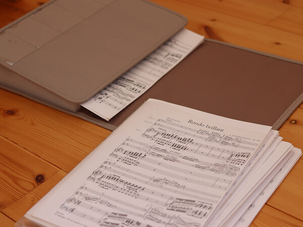 あふれる取説、サイズバラバラ書類の収納に最適！「ガバッと開く書類収納ケース」で整えてみました[PR]