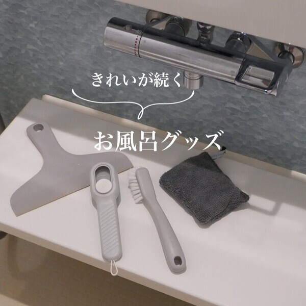 ドラストでは買えない「プロ級の名品」はコレ！インスタグラマーさんが選んだ実力派お掃除グッズまとめ[PR]