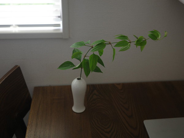 「飾る好き」と「使う好き」を分けて考える[PR]