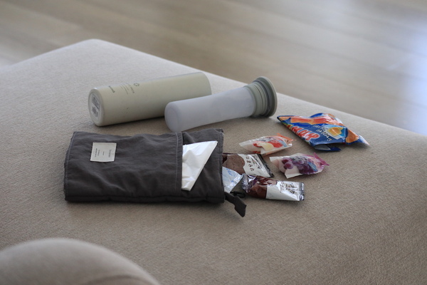 『ちょこっと保冷ポーチ』が大活躍の夏！スタッフが実感した「コレの持ち運びにぴったりです」レポート[PR]