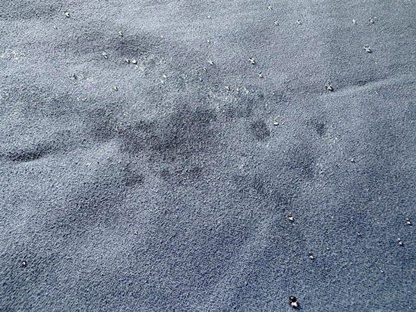 3倍吸ってすぐ乾く「手のひらサイズのバスタオル」、どんな時に使ってる？スタッフのリアルレポをお届け！[PR]