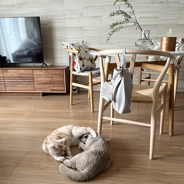 猫飼い＆マンション＆フルタイム共働きのお掃除最適解！マーナの「タッチレスワイパー」使用レポ[PR]