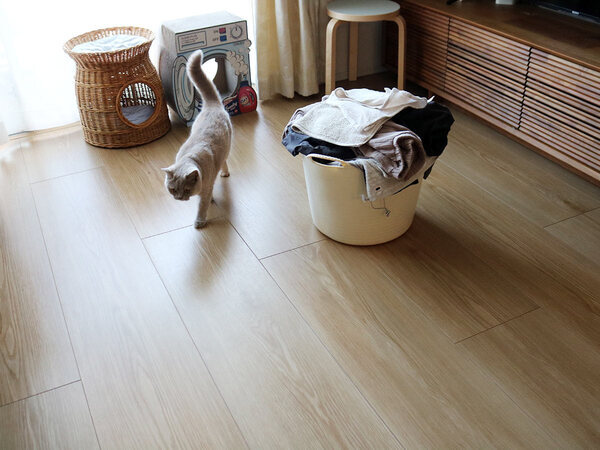 猫飼い＆マンション＆フルタイム共働きのお掃除最適解！マーナの「タッチレスワイパー」使用レポ[PR]