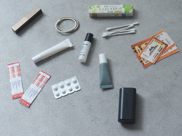 ペラペラめくって小物迷子をスピード解決！小分け整頓上手な「手帳型ポーチ」[PR]