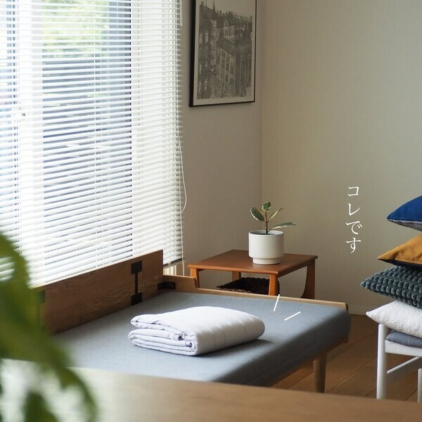 今年の残暑は10月まで!?長すぎる夏を涼しく乗り越える、インスタグラマーさんも愛用のインテリアとは[PR]