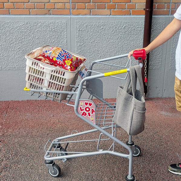 “便利だけどかさばる問題”を解決！折り畳めるレジカゴ＆まるごと保冷バッグでまとめ買いをスムーズに[PR]