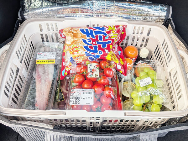 “便利だけどかさばる問題”を解決！折り畳めるレジカゴ＆まるごと保冷バッグでまとめ買いをスムーズに[PR]