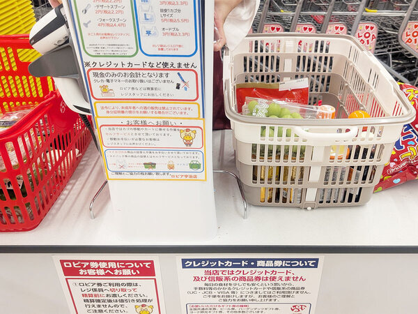 “便利だけどかさばる問題”を解決！折り畳めるレジカゴ＆まるごと保冷バッグでまとめ買いをスムーズに[PR]