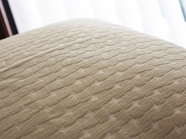 【スタッフ3名のプチ模様替えレポ】アジサイ模様のツヤやかクッションカバーで、お部屋に明るさを取り入れよう。[PR]