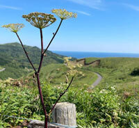 足元だけ冷える問題を本気で解決！名前の期待を裏切らない「軽くてあったか足首ふとん」[PR]