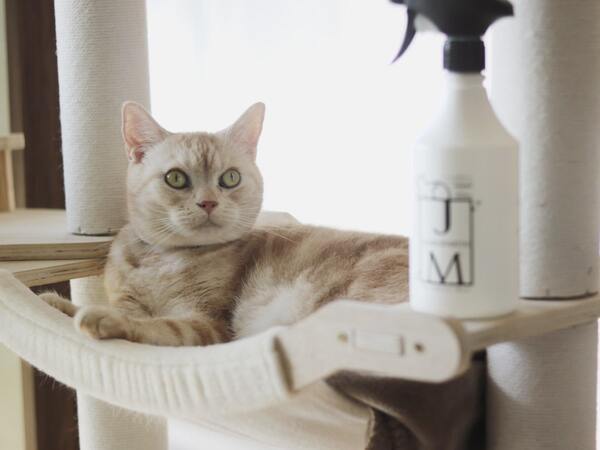 舐めても安心の消臭除菌スプレー！？ペットにやさしい『ジェームズ・ミャーティン』誕生[PR]