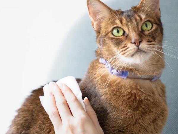 舐めても安心の消臭除菌スプレー！？ペットにやさしい『ジェームズ・ミャーティン』誕生[PR]