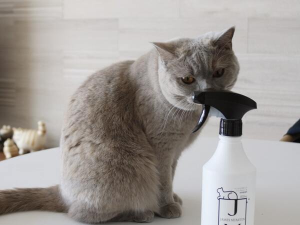 舐めても安心の消臭除菌スプレー！？ペットにやさしい『ジェームズ・ミャーティン』誕生[PR]