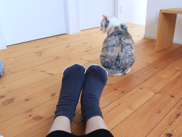 長年の「もちはだ」愛用スタッフ達が、カバーソックスを買い足した理由[PR]