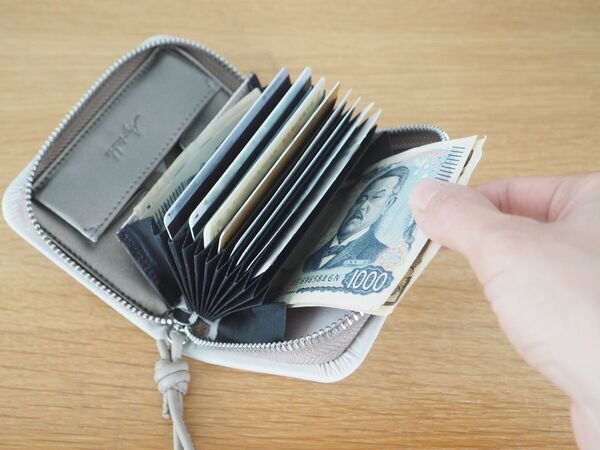 新年の買い替えに。コンパクトなのに中身が一目でわかる「二つ折り財布」[PR]