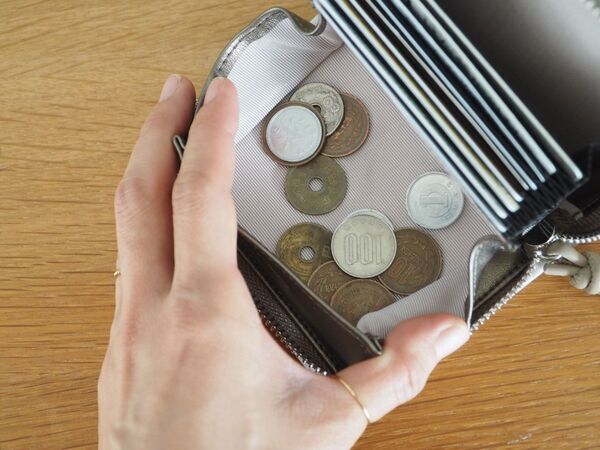 新年の買い替えに。コンパクトなのに中身が一目でわかる「二つ折り財布」[PR]