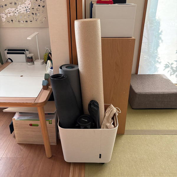 「やるぞ！」と思ったらすぐ取れるフィットネス収納。スタッフが実際に使ってみました[PR]