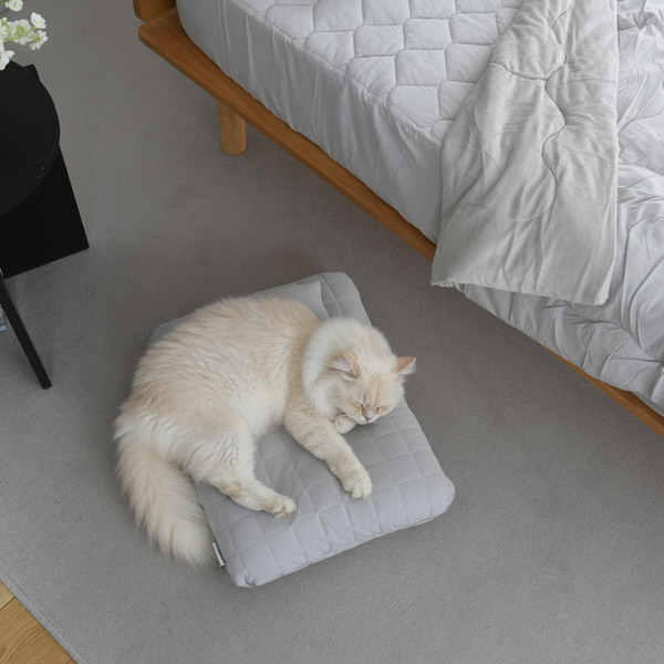 猫飼いスタッフ達による“新ブランド”誕生！愛猫とシンプルに暮らす『bon moment cat』[PR]