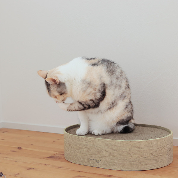 猫飼いスタッフ達による“新ブランド”誕生！愛猫とシンプルに暮らす『bon moment cat』[PR]