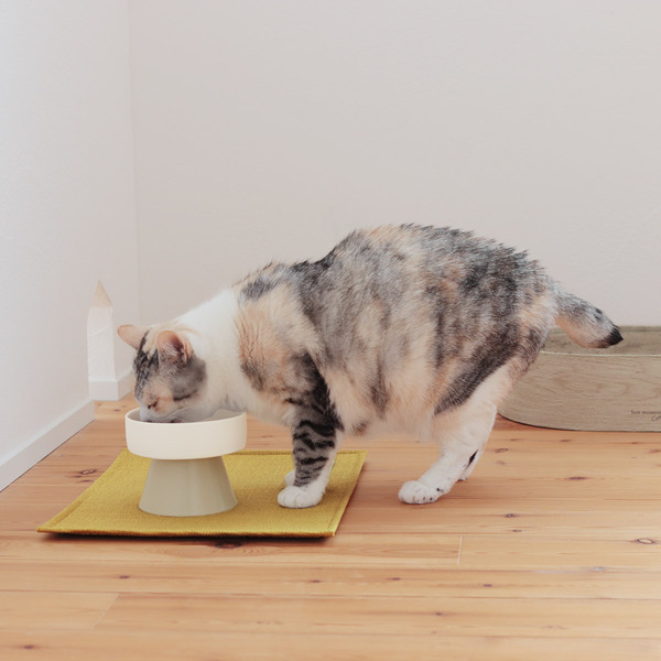 猫飼いスタッフ達による“新ブランド”誕生！愛猫とシンプルに暮らす『bon moment cat』[PR]